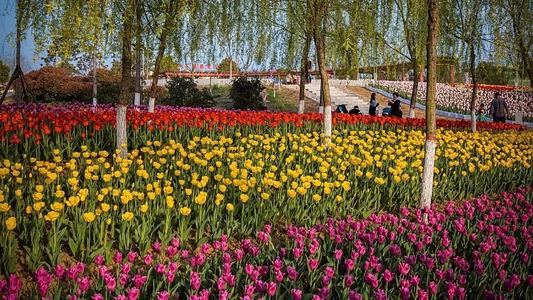 记住第一次郊游