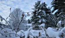 记今冬第一场雪