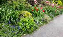 春天里的中心花圃