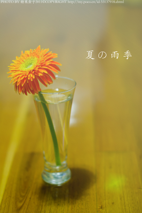 再次看到什么好