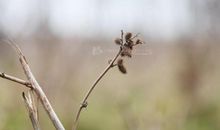 与风在一起感悟生命