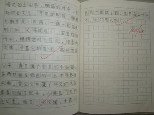 关于温暖的构图