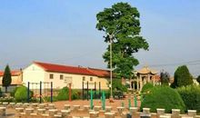 那味那景那故乡