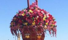 花坛里酿出的童年