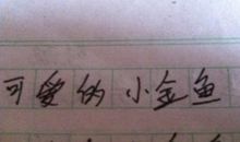 可爱的小金鱼作文三年级