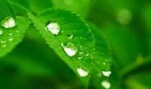 一年之计在于春