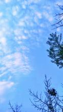 一片天空