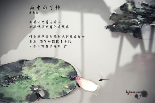 雨中的启示