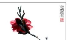 又见桃花，真好