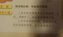 《阳光与阴影》读后感