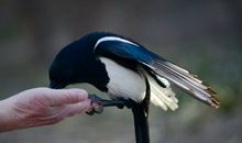 冬日里的那一幕