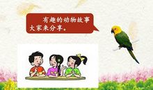 有趣的动物二年级写话