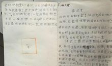 《猫武士》读后感