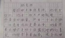 最美班主任作文600字