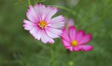 流淌在心底的幸福