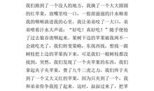 描写苹果的作文