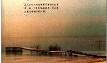 让心灵在书中憩息