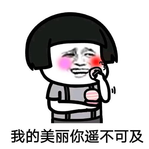 拥有一个梦想