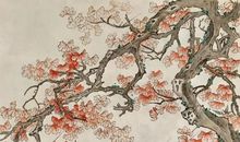 灿烂平凡总相宜