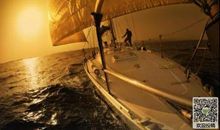 游离在成长路上