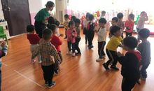 我发现了小蝌蚪的秘密