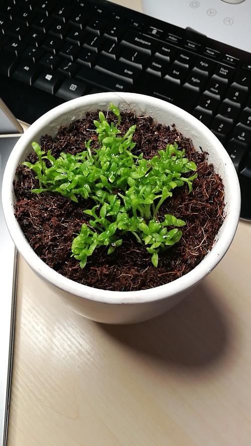 我的书桌和我一起成长