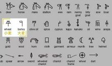 顽强不息的小麦