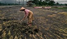 平凡中美丽的瞬间