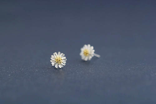 雏菊后记