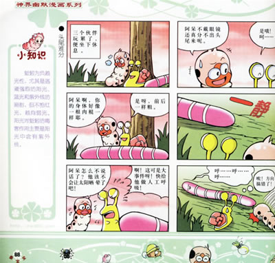 我发现了蚕的秘密
