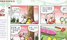 我发现了蚕的秘密