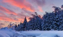 我心中最动人的风景