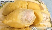 与榴莲的亲密接触