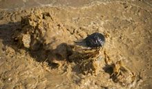 在苦中奋力前行