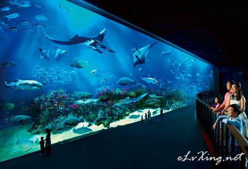 参观水族馆