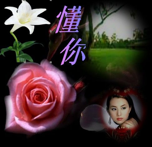 了解爱