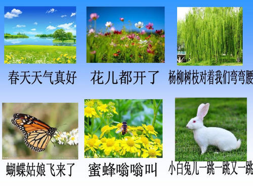 春天的感觉