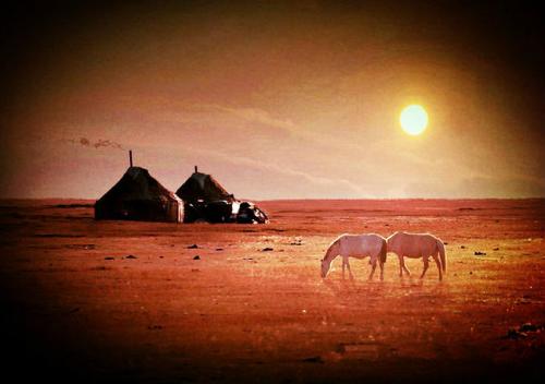 明亮的月亮打动了我的心