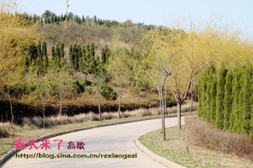 春天的动物园