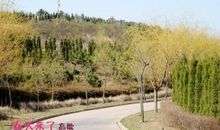 春天里的动物园