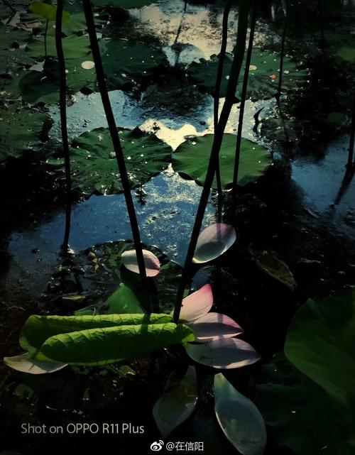 夏天下雨
