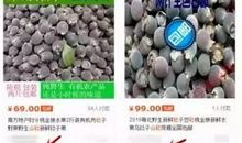 怀念爬树的日子