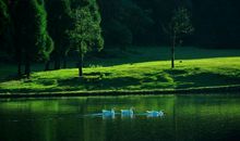 倾听大自然的声音