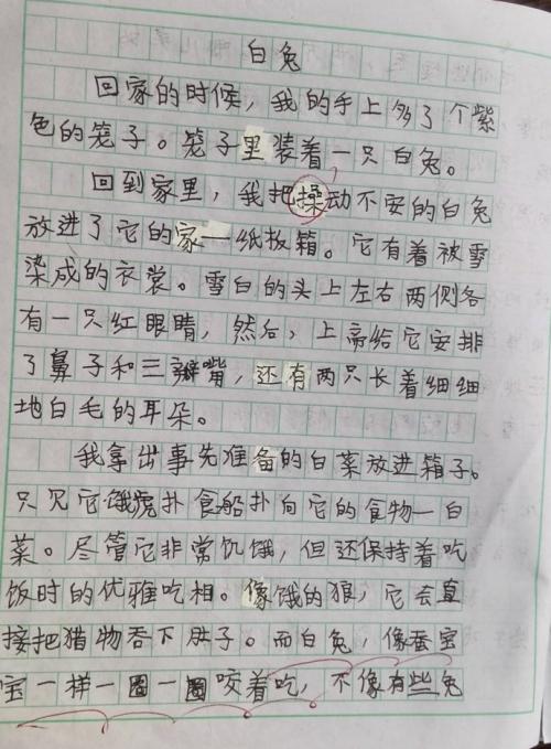 新年杂文