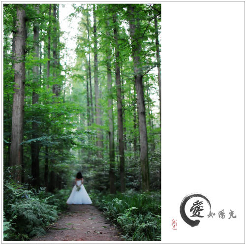爱如阳光