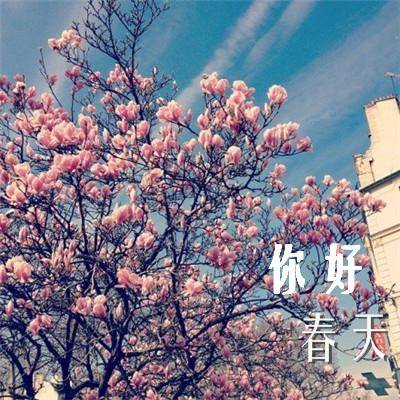 你好春天