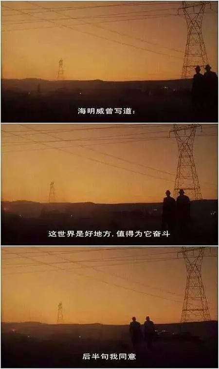 那张照片感动了我的心