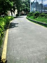 你我走过的路