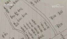 在最美的年华里