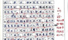 三年级作文那次玩的真高兴